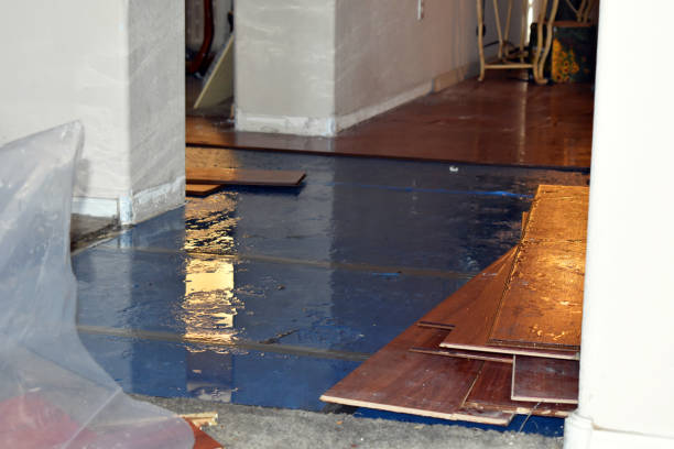Professional Basement Flood Cleanup technician working in Stone Mountain, GA